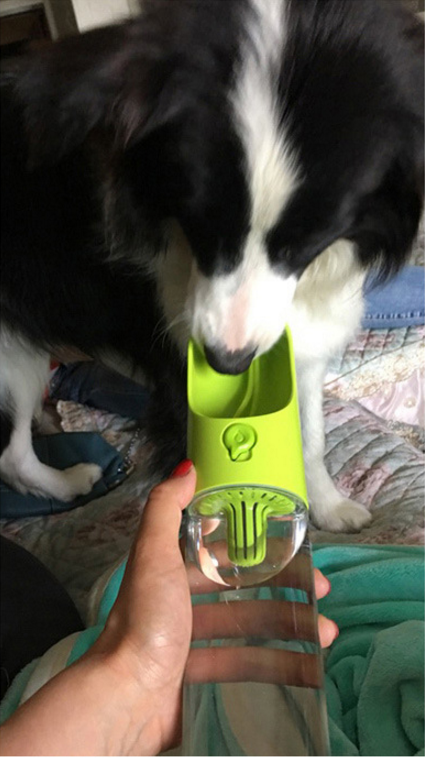 Bouteille d'eau portable pour animaux de compagnie