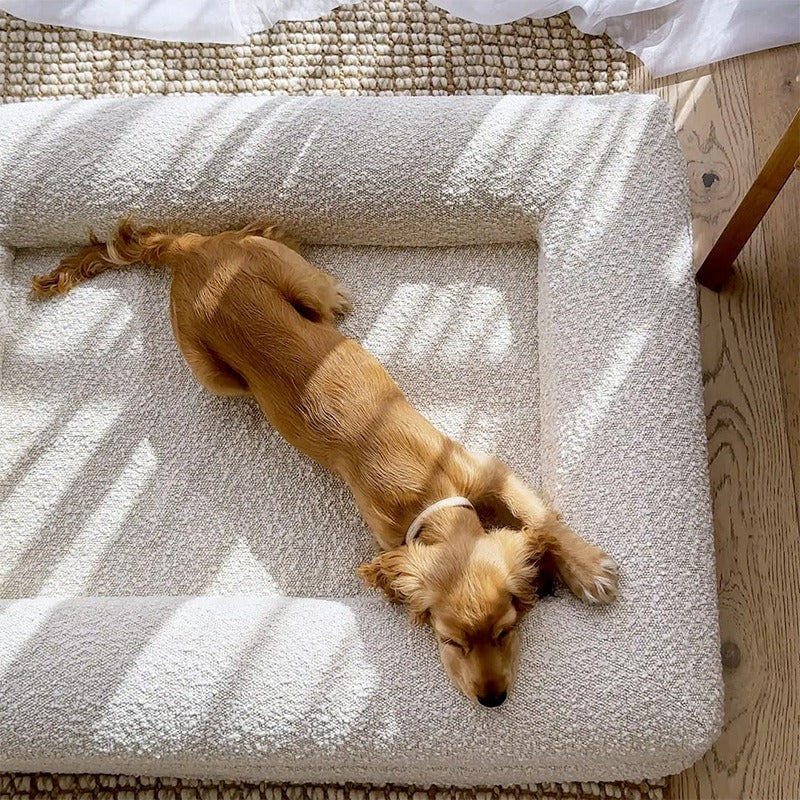 Premium Memory Foam Dog Bed