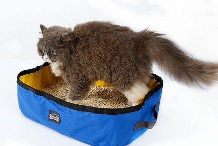 Travel-Friendly Folding Cat Litter Box