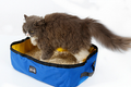 Travel-Friendly Folding Cat Litter Box