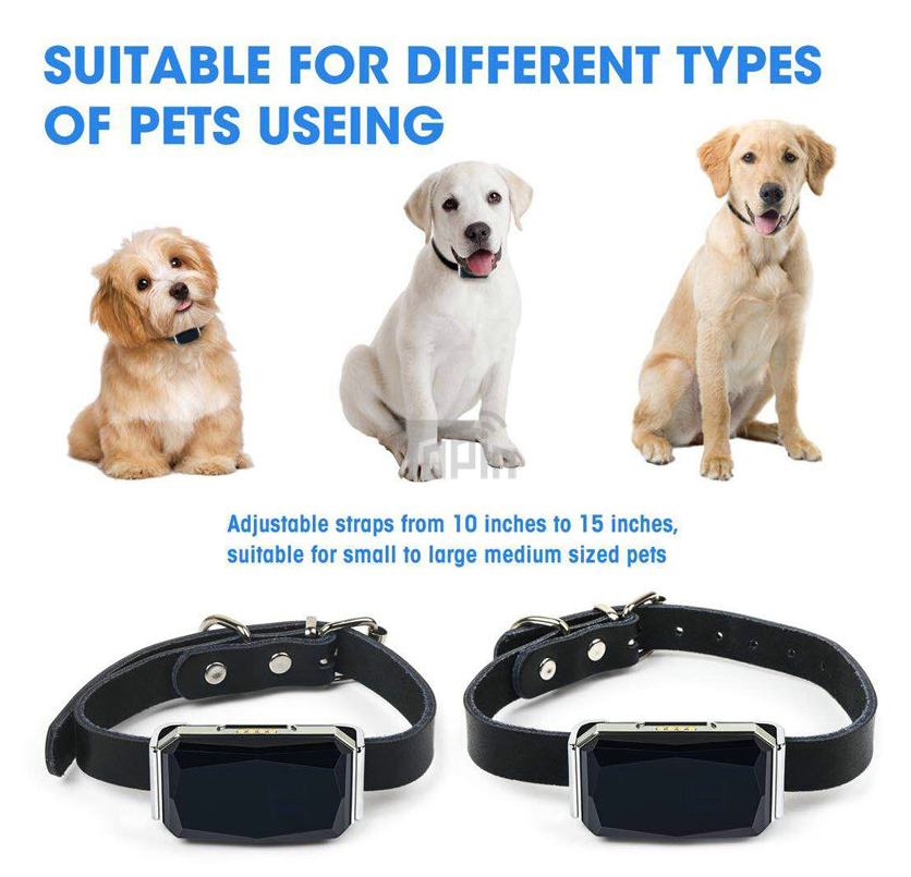 Localisateur GPS pour Chiens et Chats, de Petite à Grande Taille