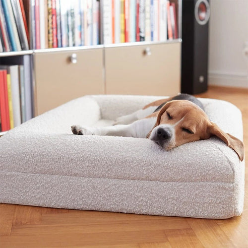 Premium Memory Foam Dog Bed
