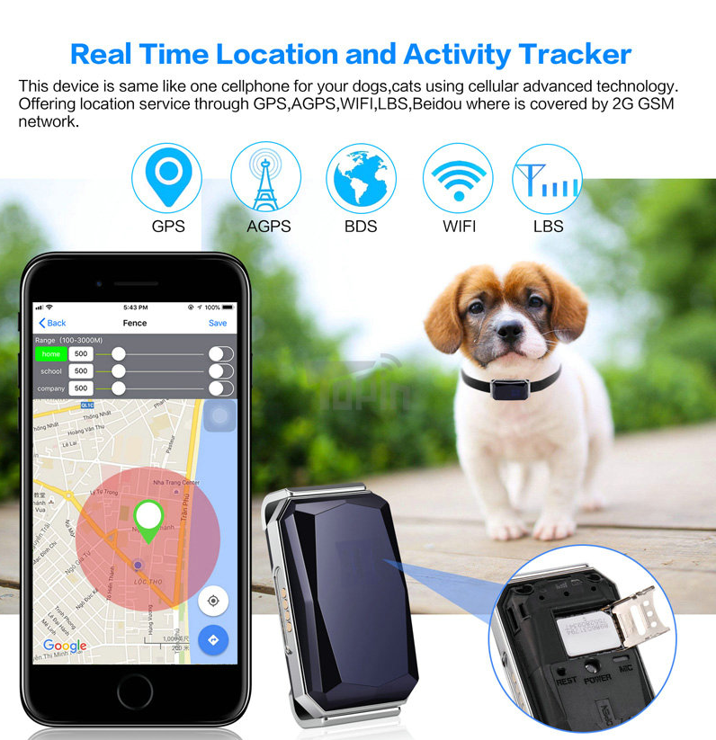 Localisateur GPS pour Chiens et Chats, de Petite à Grande Taille